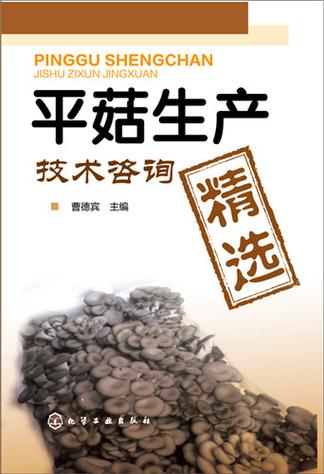 平菇生產(chǎn)技術(shù)咨詢精選與全程技術(shù)轉(zhuǎn)讓指南